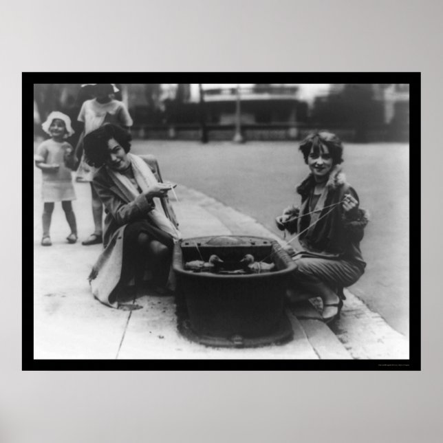 Entenfang in Washington, D.C. 1926 Poster (Vorne)