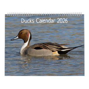 Entenkalender 2025 kalender
