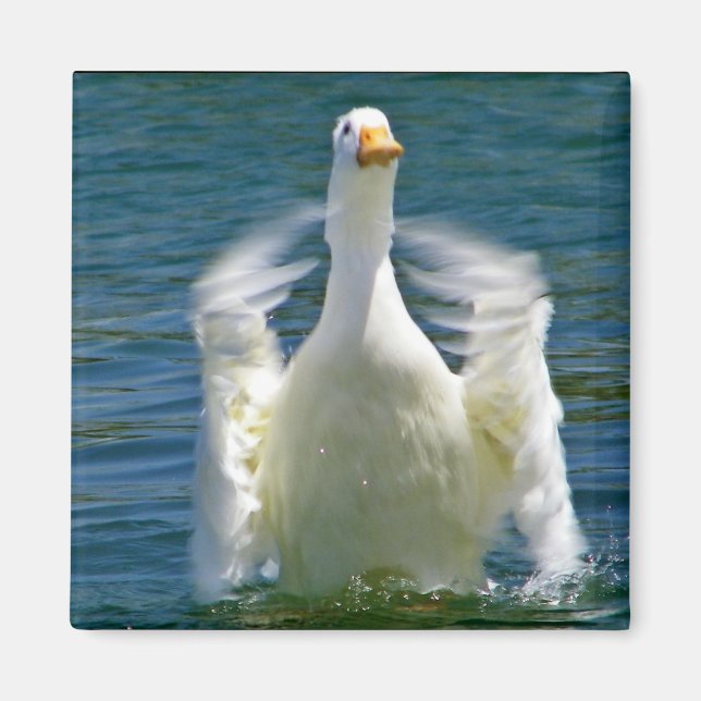 Entenklatschmagnet Magnet (Vorne)