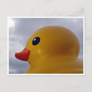 Entenkopf Postkarte