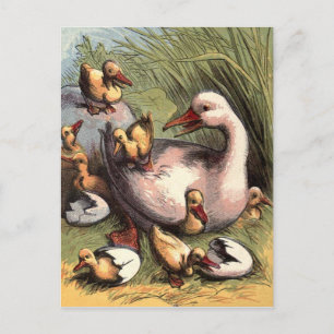 Entenküken frisch geschlüpft Vintage Bild Postkarte