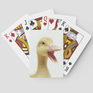 Entenküken Spielkarten