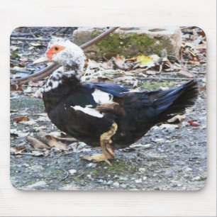 Entenpolster Mousepad