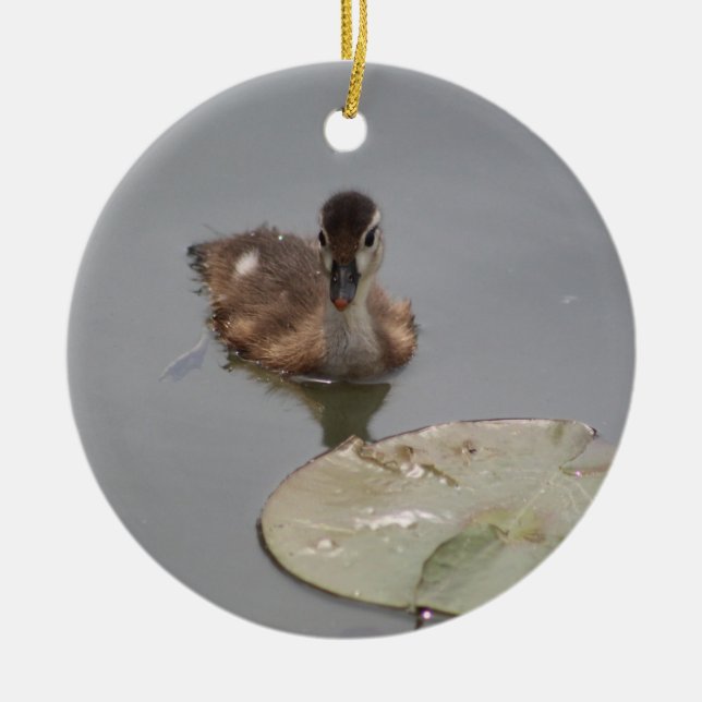 Entenschmuck Keramik Ornament (Vorne)