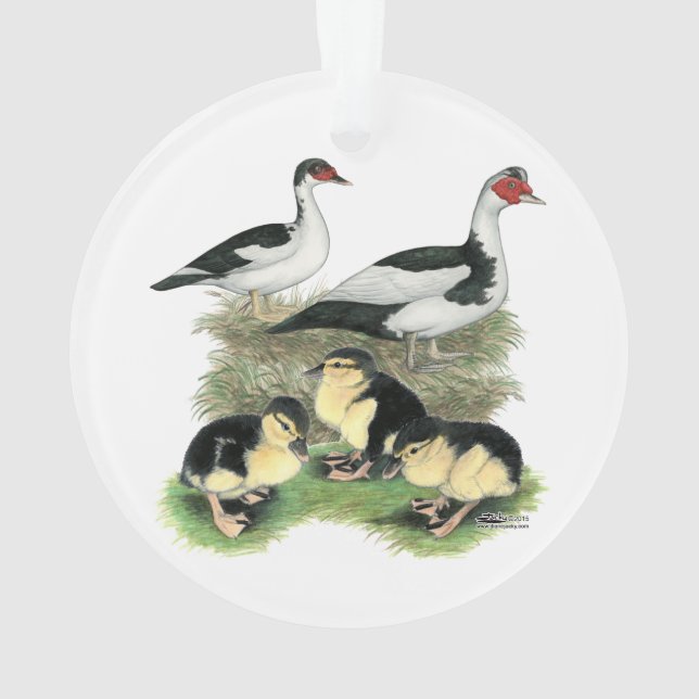 Entenschwarze gescheckte Muscovy-Familie Ornament (Rückseite)