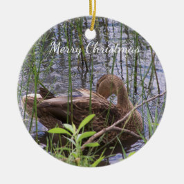 Entenvorgeburt in den Schildkröten Keramik Ornament