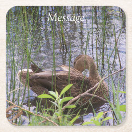 Entenvorgeburt in den Schildkröten Rechteckiger Pappuntersetzer