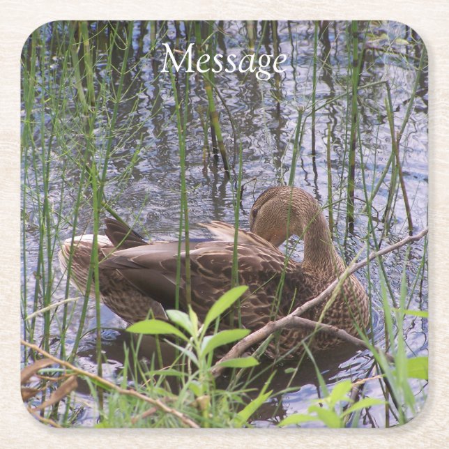 Entenvorgeburt in den Schildkröten Rechteckiger Pappuntersetzer (Vorderseite)