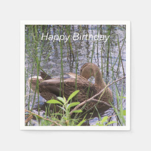 Entenvorgeburt in den Schildkröten Serviette
