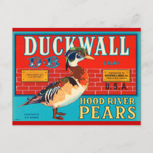 Entenwand Hood River Birnen Vintage-Werbung Postkarte