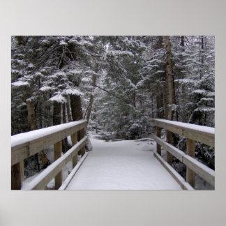 Enter - Neue Hampshire Snow Scene Poster