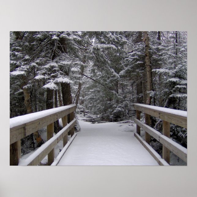 Enter - Neue Hampshire Snow Scene Poster (Vorne)