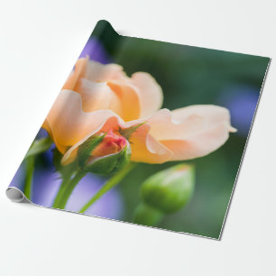 entfaltete Begierde Geschenkpapier