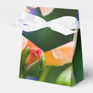 Entfaltung der Wunschbox Geschenkschachtel