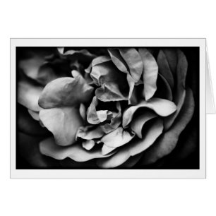 Entfaltung des inneren Lebens