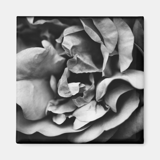 Entfaltung des inneren Lebens Magnet (Vorne)