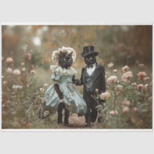 Entfärbung französischer Katzen in einem Feld von  Seidenpapier