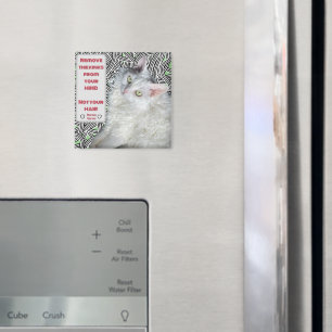 Entfernen Sie die Kinks aus Ihrem Kopf, nicht aus  Magnet