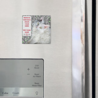 Entfernen Sie die Kinks aus Ihrem Kopf, nicht aus  Magnet