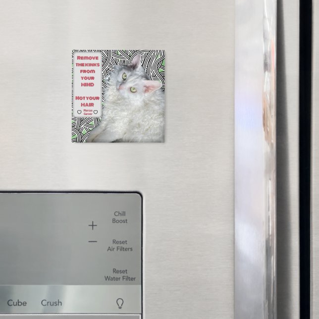 Entfernen Sie die Kinks aus Ihrem Kopf, nicht aus  Magnet (In Situ (Kühlschrank))