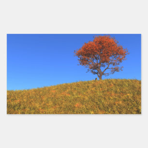 Entfernen Sie Herbsttage-Sticker Rechteckiger Aufkleber