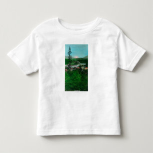 Entfernte Ansicht der Gletscher-Spitze und der Kleinkind T-shirt