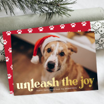 Entfesseln Sie das Joy Red Dog Foto