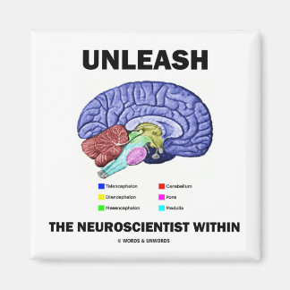 Entfesseln Sie den Neurowissenschaftler im Inneren Magnet