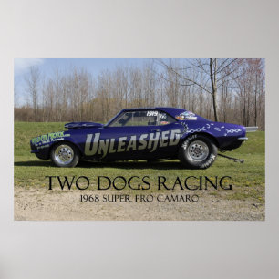 Entfesseltes Super Pro Drag Car Poster