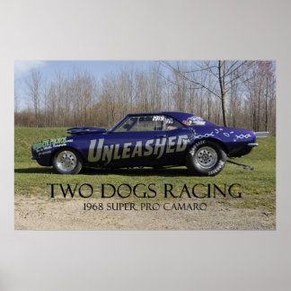 Entfesseltes Super Pro Drag Car Poster