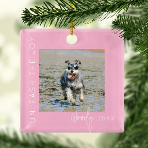 Entfessle die Freude Haustier-Foto-Weihnachtsbau Ornament Aus Metall