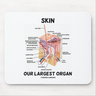 Enthäuten Sie unser größtes Organ (Hautschichten) Mousepad