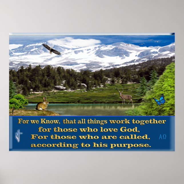 Enthüllungen Schrift-Plakat Poster (Vorne)