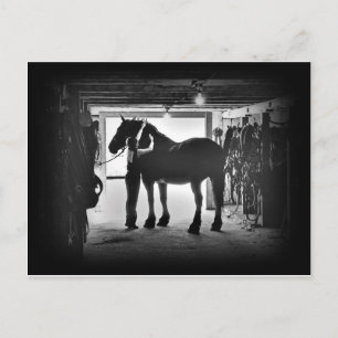 Entkleidung Postkarte