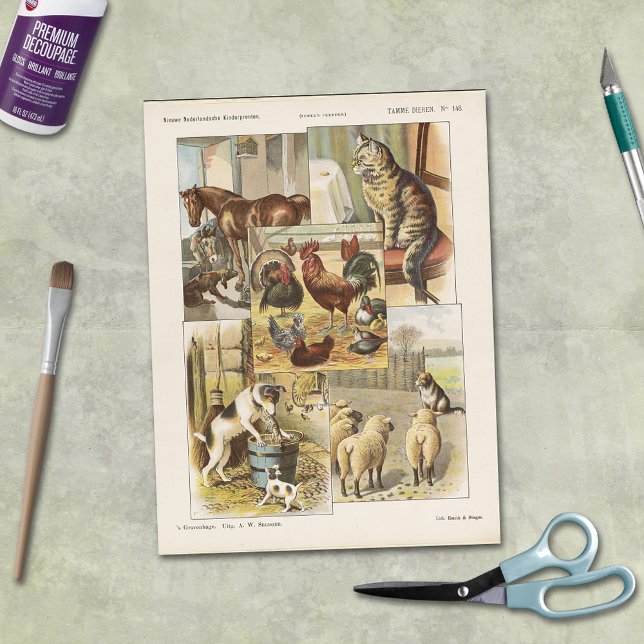 Entkopplung der Tiersammlung von gezähmten Nutztie Seidenpapier (Von Creator hochgeladen)