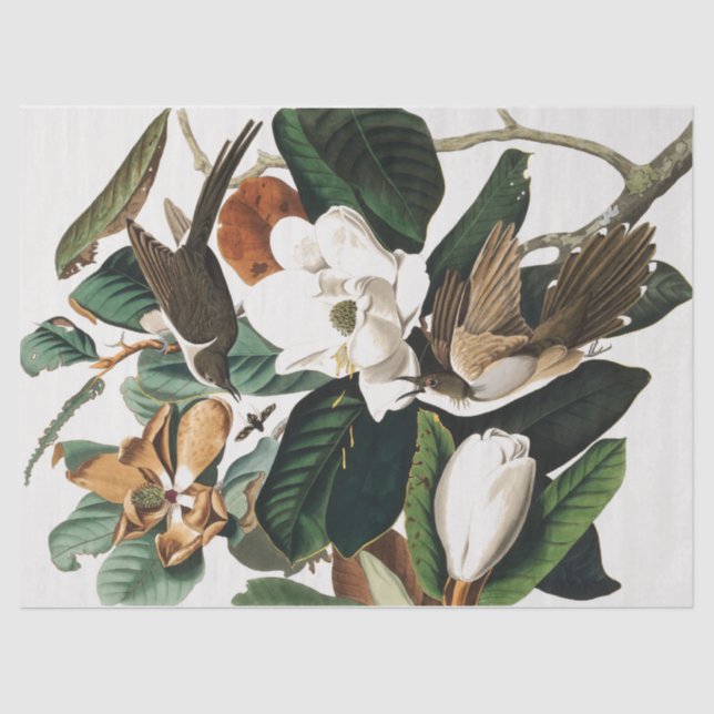 Entkopplung Vintager Vögel und Blume Seidenpapier (Vorderseite)