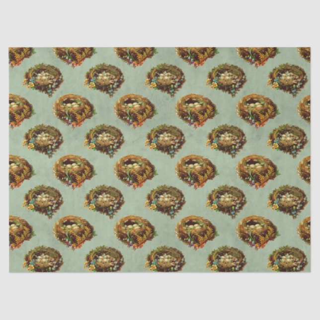 Entkopplung von Vintagen Vogelnest und Eiern Seidenpapier (Vorderseite)