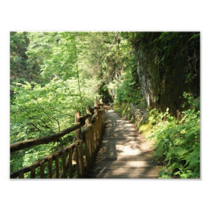 Entlang dem Ridge photographischer Druck 11 x 8,5