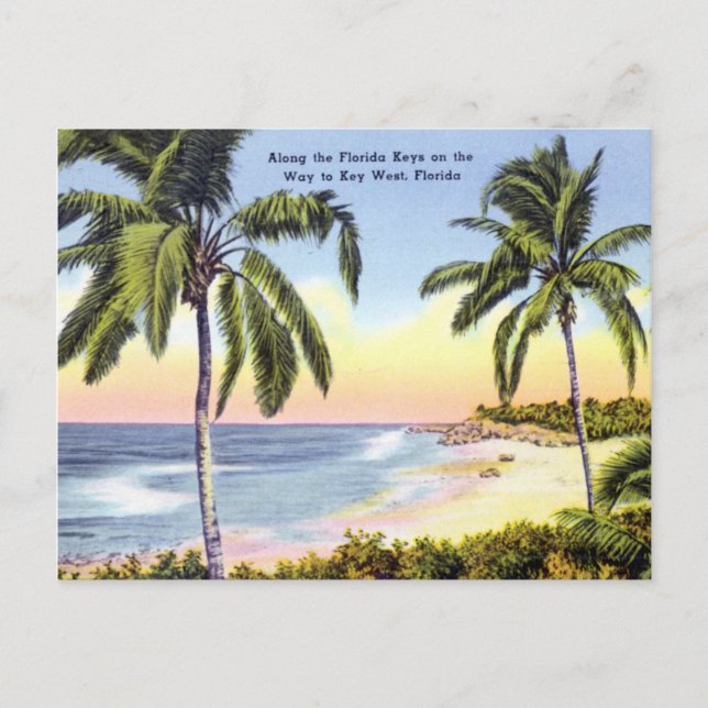 Entlang der Florida Keys Vintag Postkarte (Vorderseite)