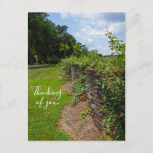 Entlang der gekrümmten Mauer, in der ich an Dich d Postkarte