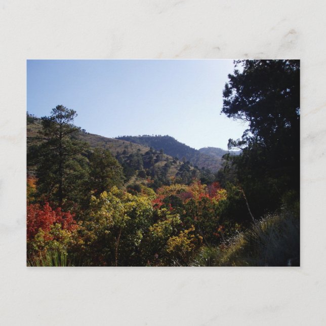 Entlang der Straße - Canyons ab Trail Postkarte (Vorderseite)