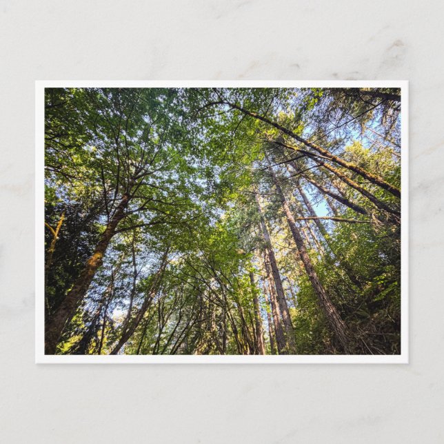 Entlang des Weges Postkarte (Vorderseite)