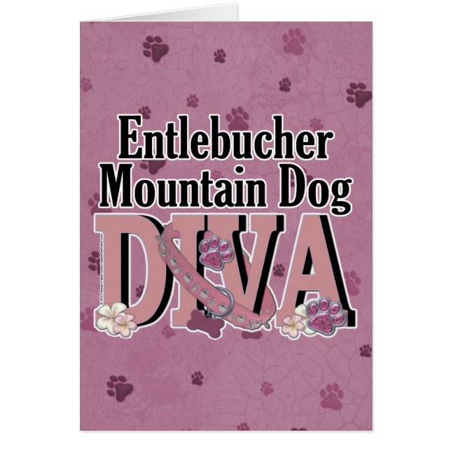 Entlebucher Gebirgshund-DIVA (Vorne)