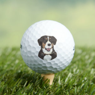 Entlebucher Mountain Hund Golfball