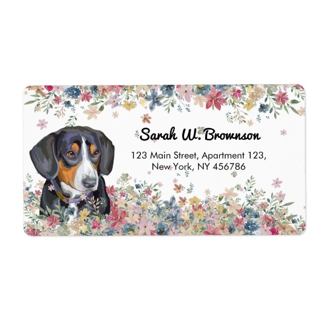Entlebucher Mountain Hund Welpenspiel (Vorne)