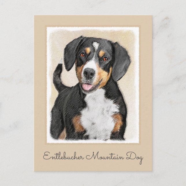Entlebucher Mountain Hunde Malerei - Originelle Ku Postkarte (Vorderseite)