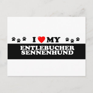 ENTLEBUCHER SENNEHUND_ POSTKARTE