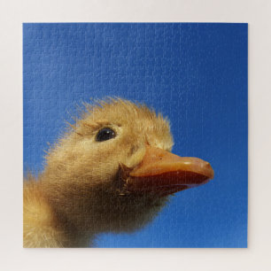 Entlein,Huhn, Tier, Küken, Vogel, Bauernhof, süß, Puzzle