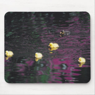 Entlein Mousepad