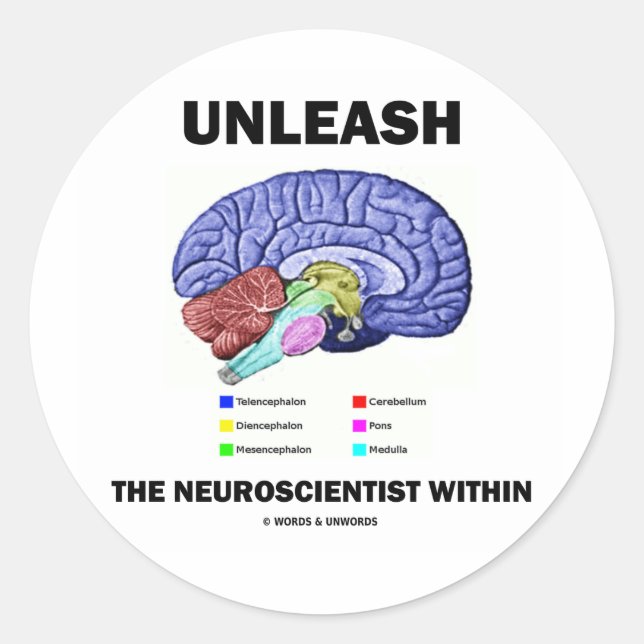 Entlüften Sie den Neurowissenschaftler innerhalb ( Runder Aufkleber (Vorderseite)